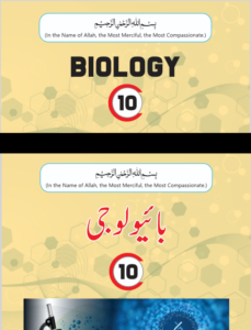 Read more about the article Class 10 Biology Book, 2026 New Textbook PDF, Punjab Board