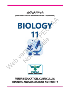Read more about the article Class 11 Biology Book, 2025 New Textbook PDF, Punjab Board